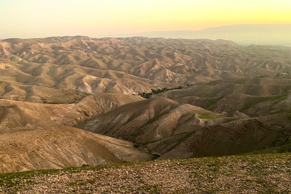 ארץ-הצבי-ביי-גלואו-גלמפינג-9